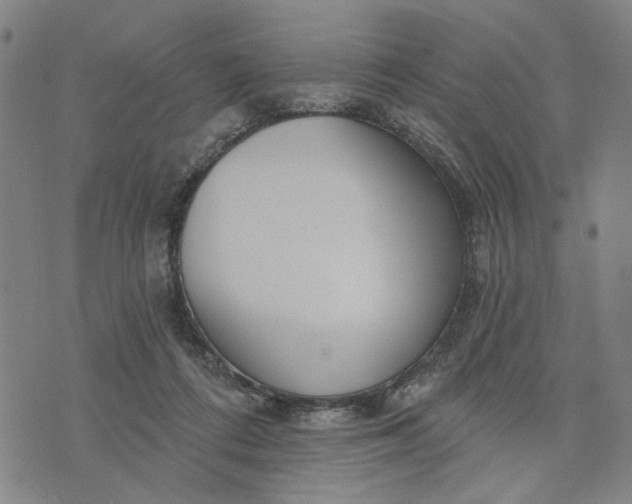 X0000076340312200610161740