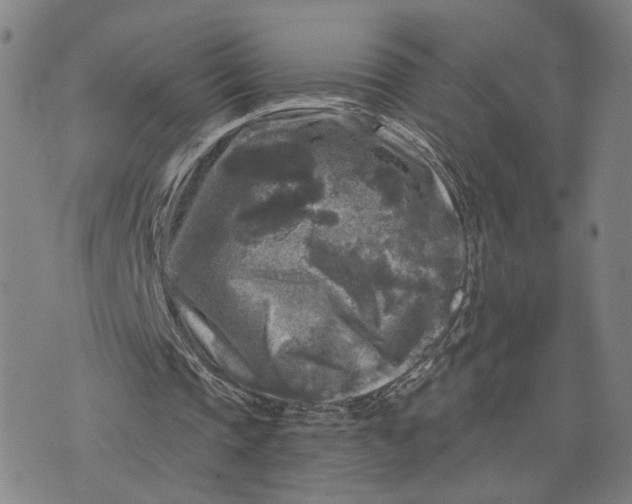 X0000076340337200610161739