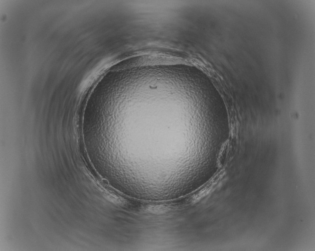 X0000076340341200610161739