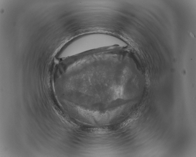 X0000076340347200610161739