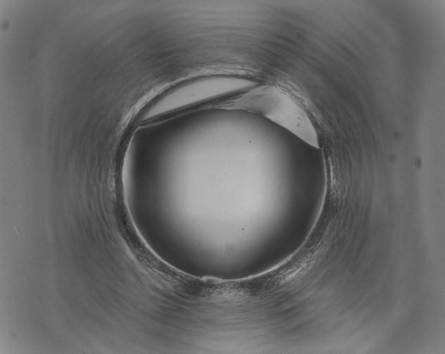 X0000076340348200610161739