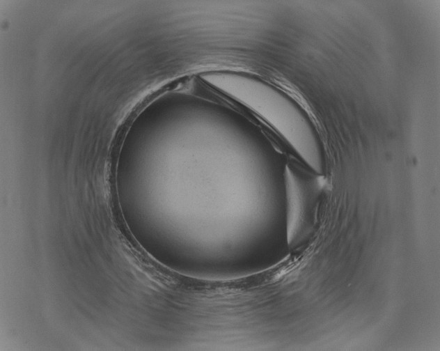X0000076340387200610161739