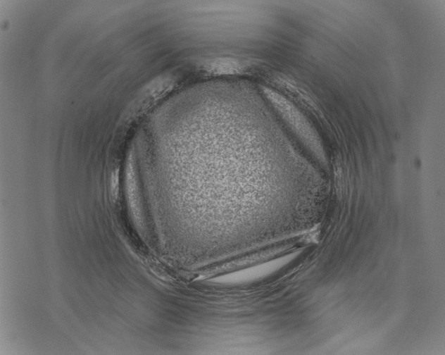 X0000076340406200610161739