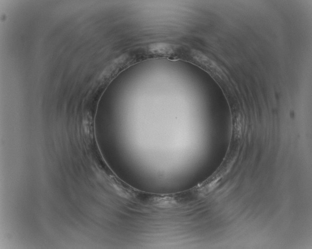 X0000076340424200610161738