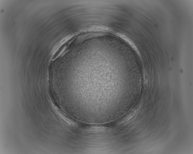 X0000076340437200610161738