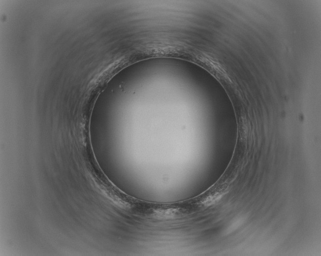 X0000076340450200610161738