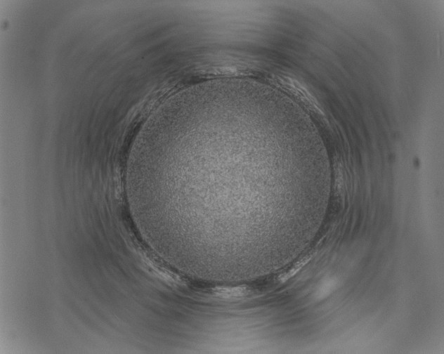 X0000076340457200610161738