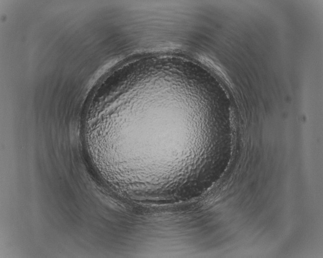 X0000076340483200610161737