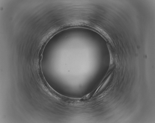 X0000076340485200610161737