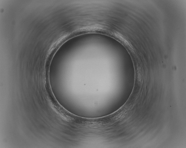 X0000076340486200610161737