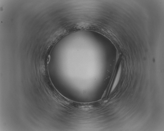 X0000076340508200610161737