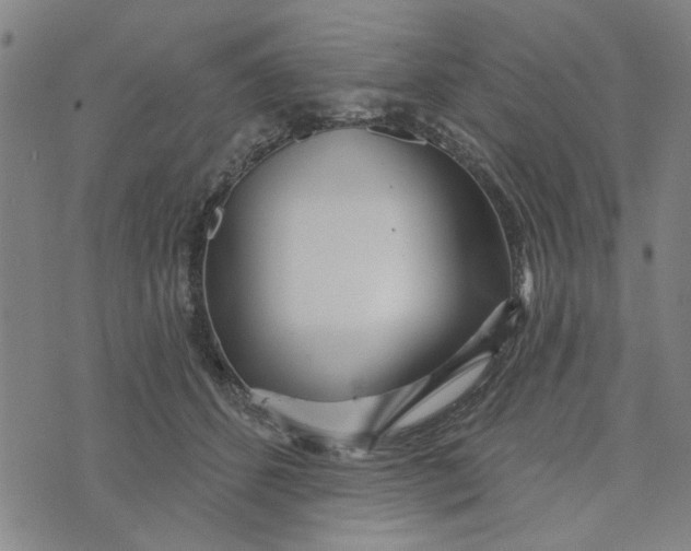 X0000076340512200610161737