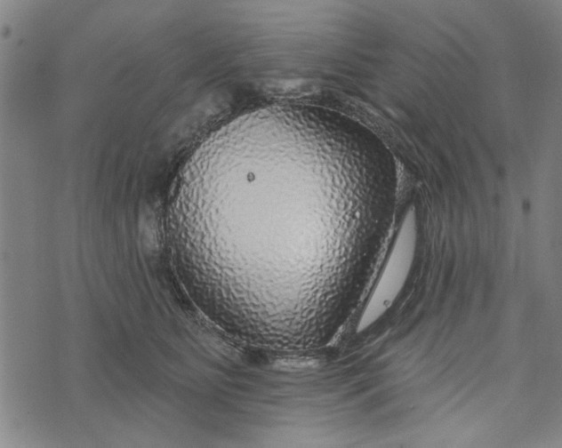 X0000076340515200610161737