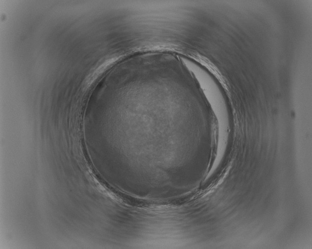 X0000076340577200610161736