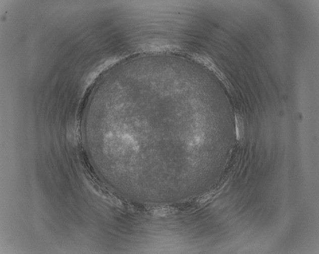 X0000076340579200610161736