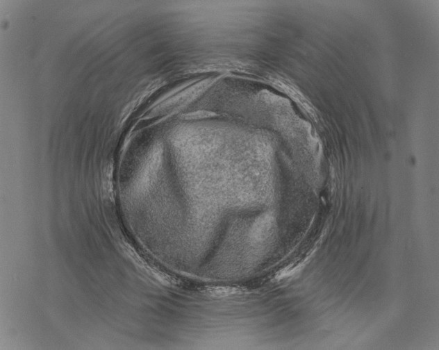 X0000076340585200610161736