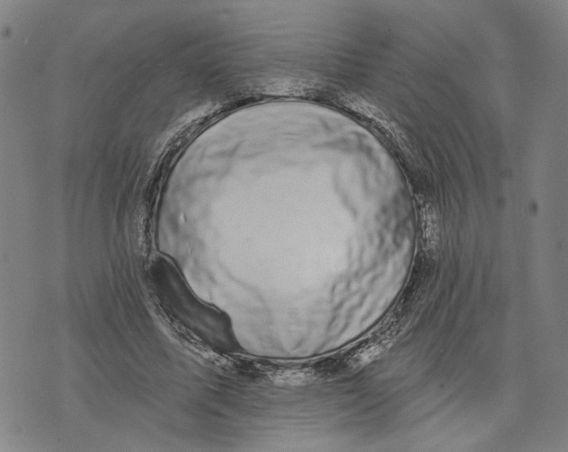 X0000076340587200610161736