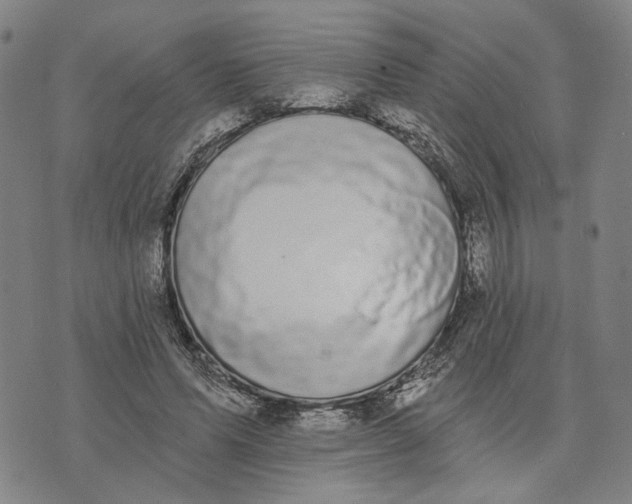 X0000076340591200610161736