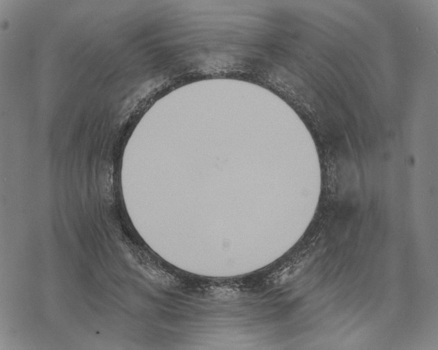 X0000076340592200610161736