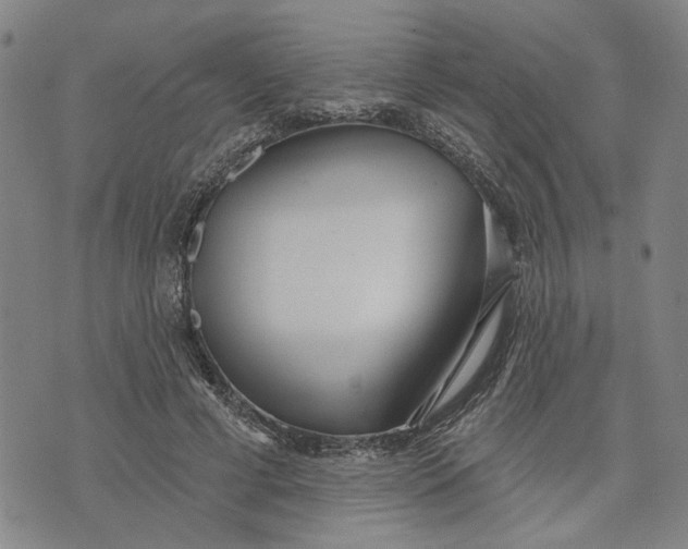 X0000076340593200610161736