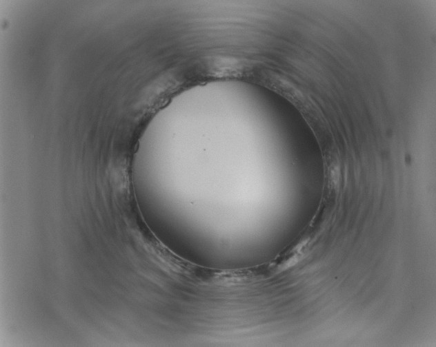 X0000076340620200610161735