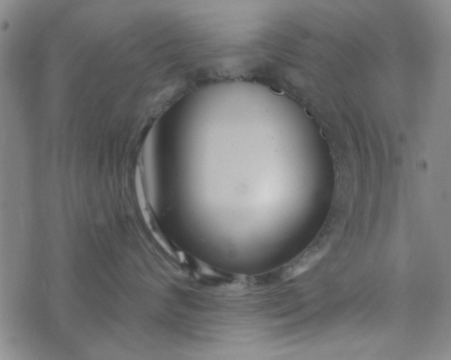 X0000076340624200610161735