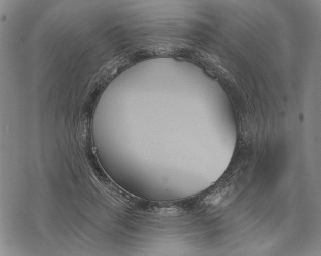 X0000076340645200610161735