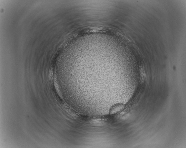 X0000076340657200610161735