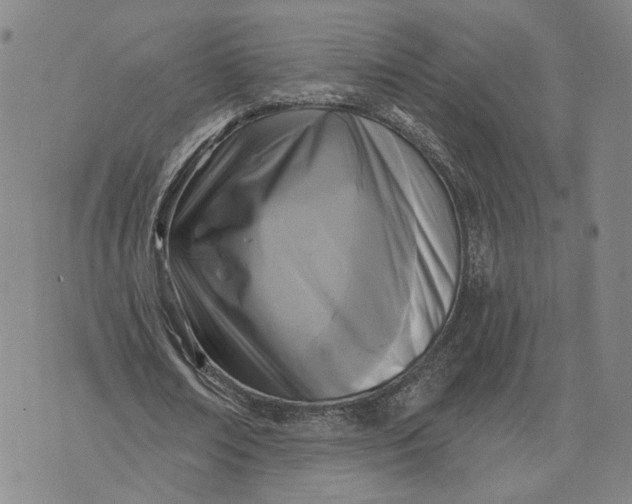X0000076340674200610161734