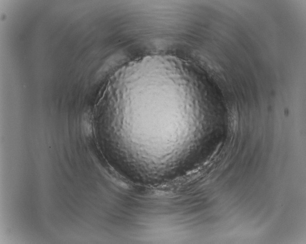 X0000076340719200610161734