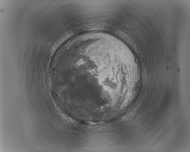 X0000076340721200610161733