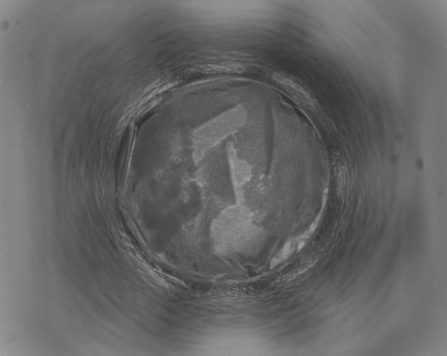 X0000076340729200610161733