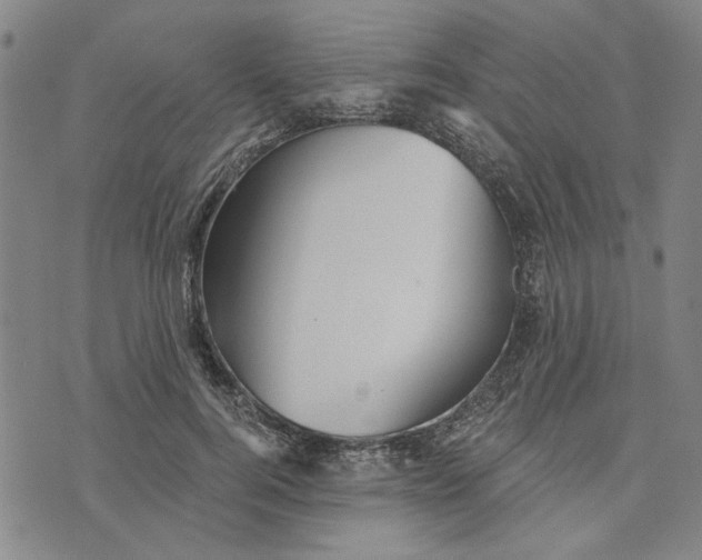 X0000076340744200610161733