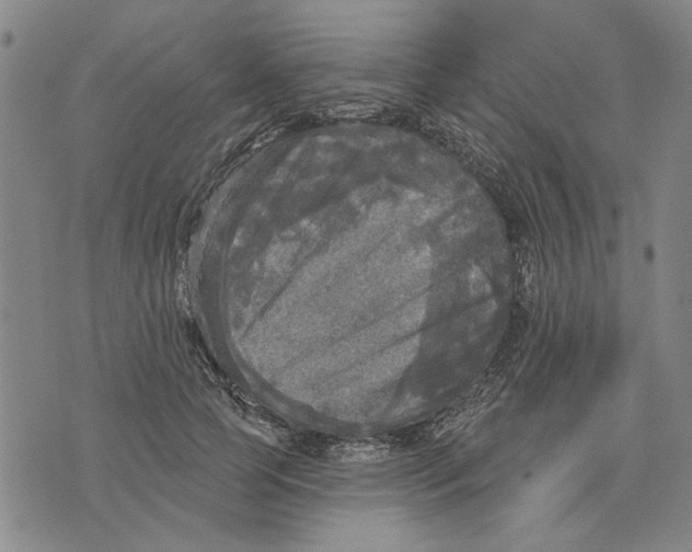 X0000076340745200610161733