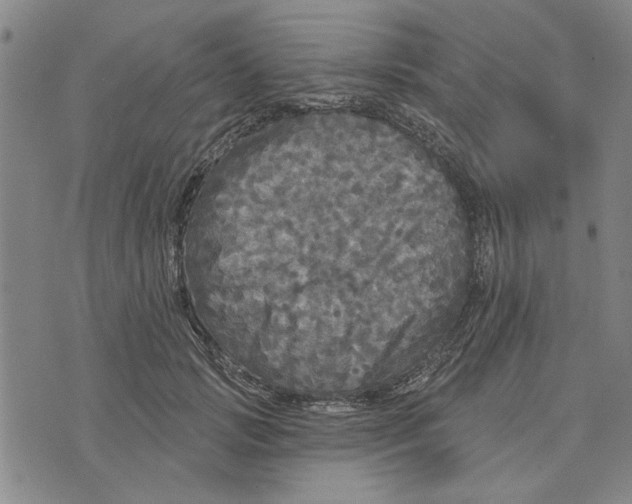 X0000076340749200610161733