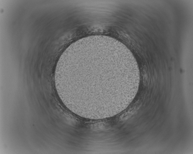 X0000076340769200610161733
