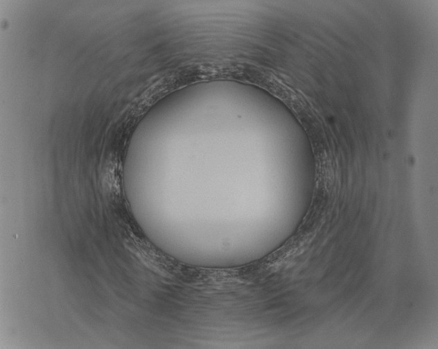 X0000076340770200610161733