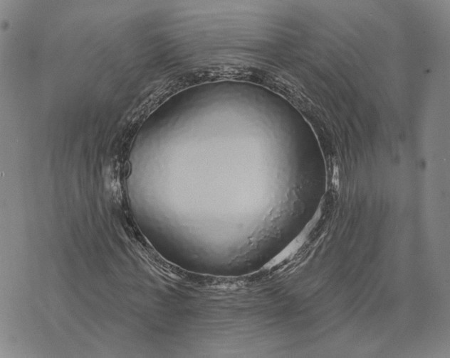 X0000076340771200610161733