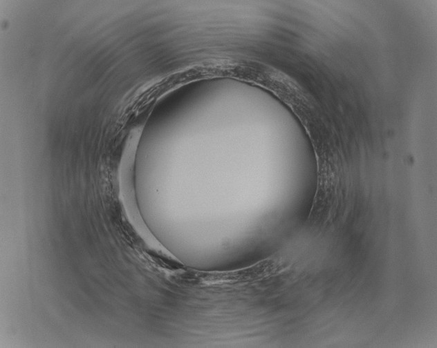 X0000076340773200610161733