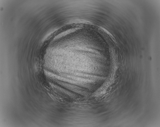 X0000076340775200610161733