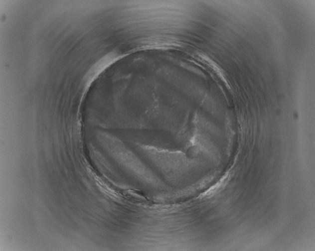 X0000076340779200610161733
