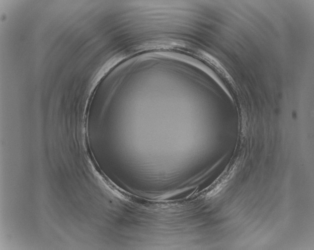 X0000076340802200610161732