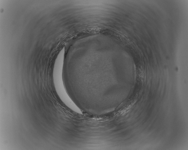 X0000076340818200610161731