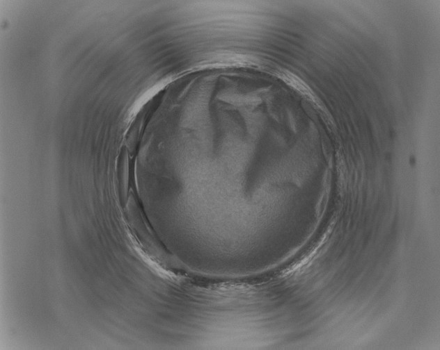 X0000076340842200610161732