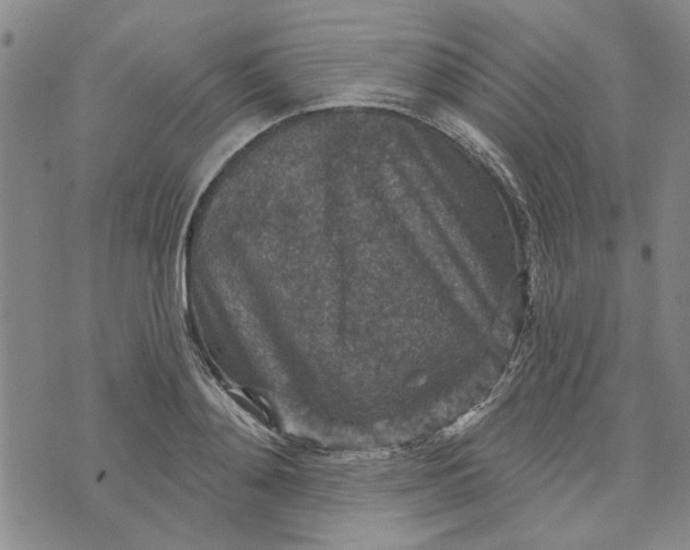 X0000076340892200610161731