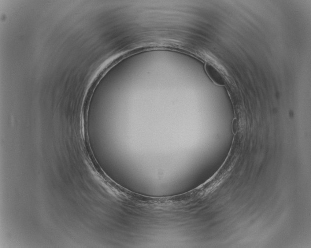 X0000076340940200610161730