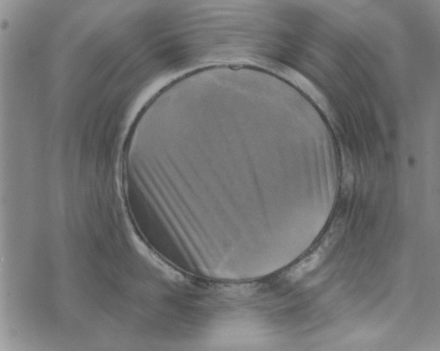 X0000076340958200610161730