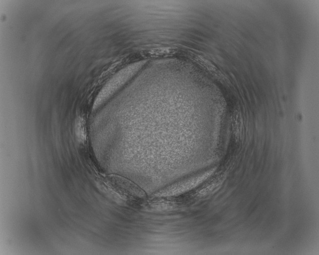 X0000076340962200610161730