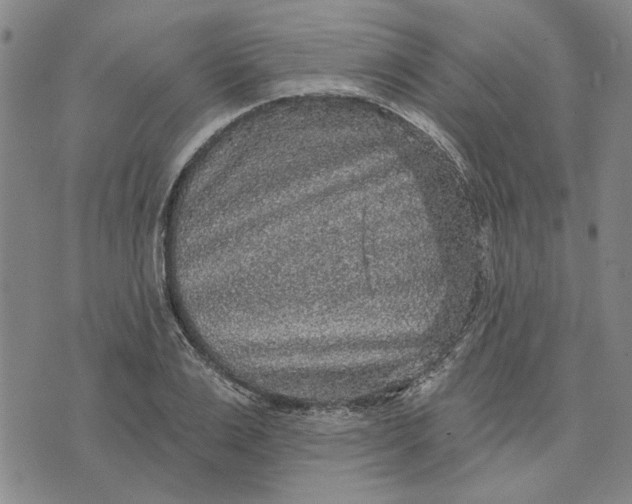 X0000076340983200610161729