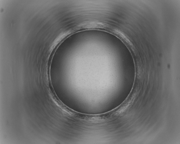 X0000076340986200610161729